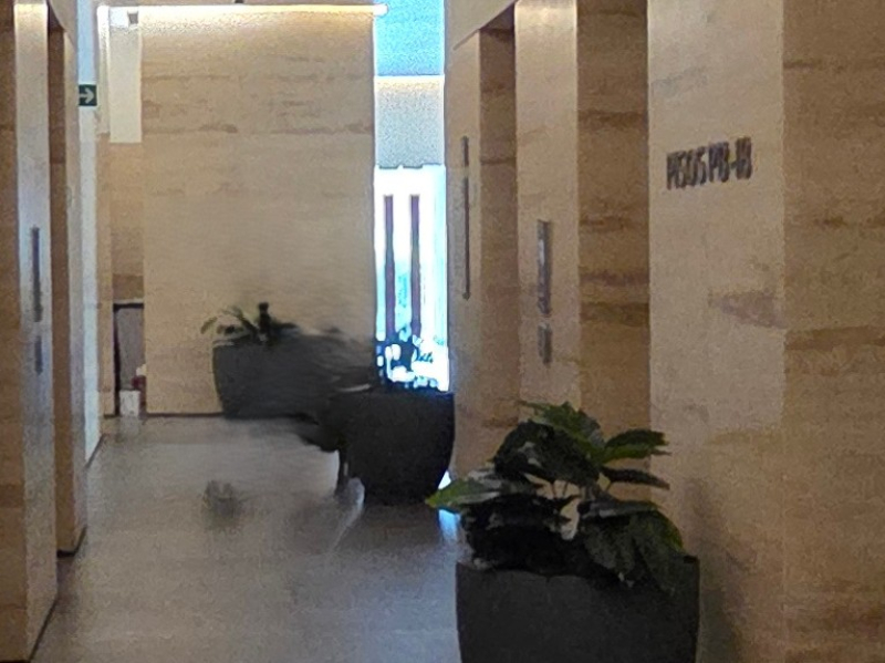 Renta Departamento Be Grand Alto Polanco Torre 4