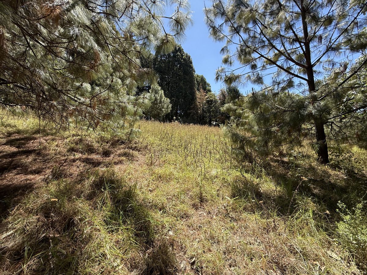 valle san simón