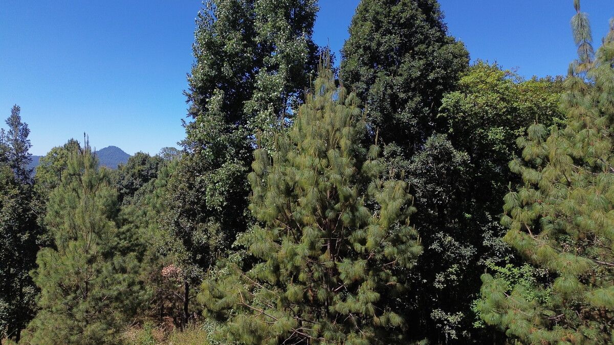 valle san simón