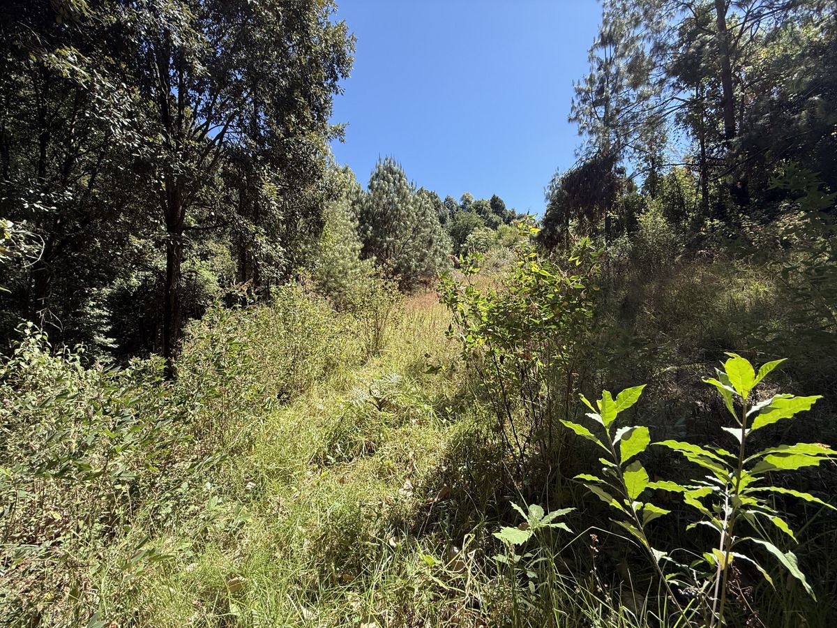 valle san simón