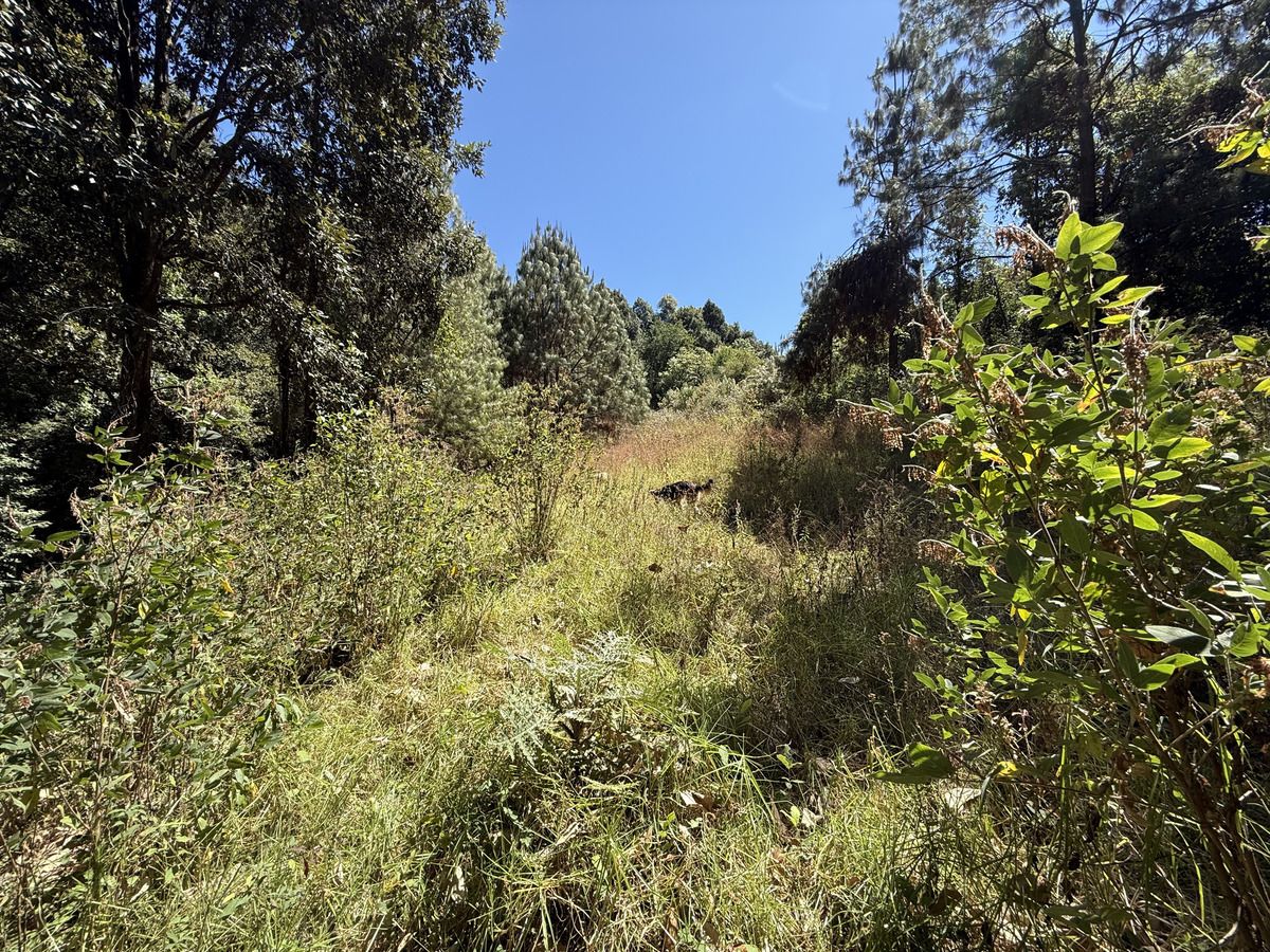 valle san simón