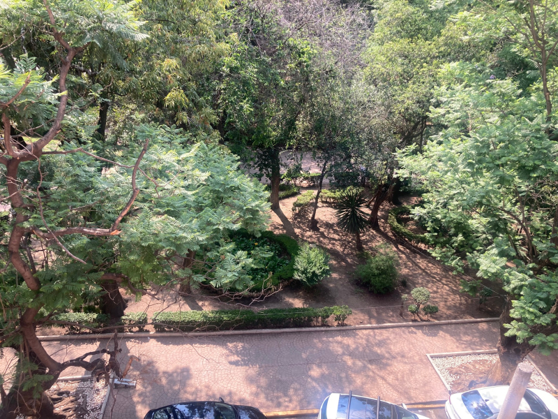 Hermoso Departamento En Renta En Condesa