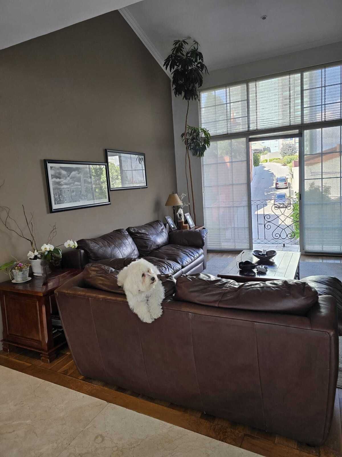 Preciosa Casa En Bosques De Las Lomas, Privada .  Renta