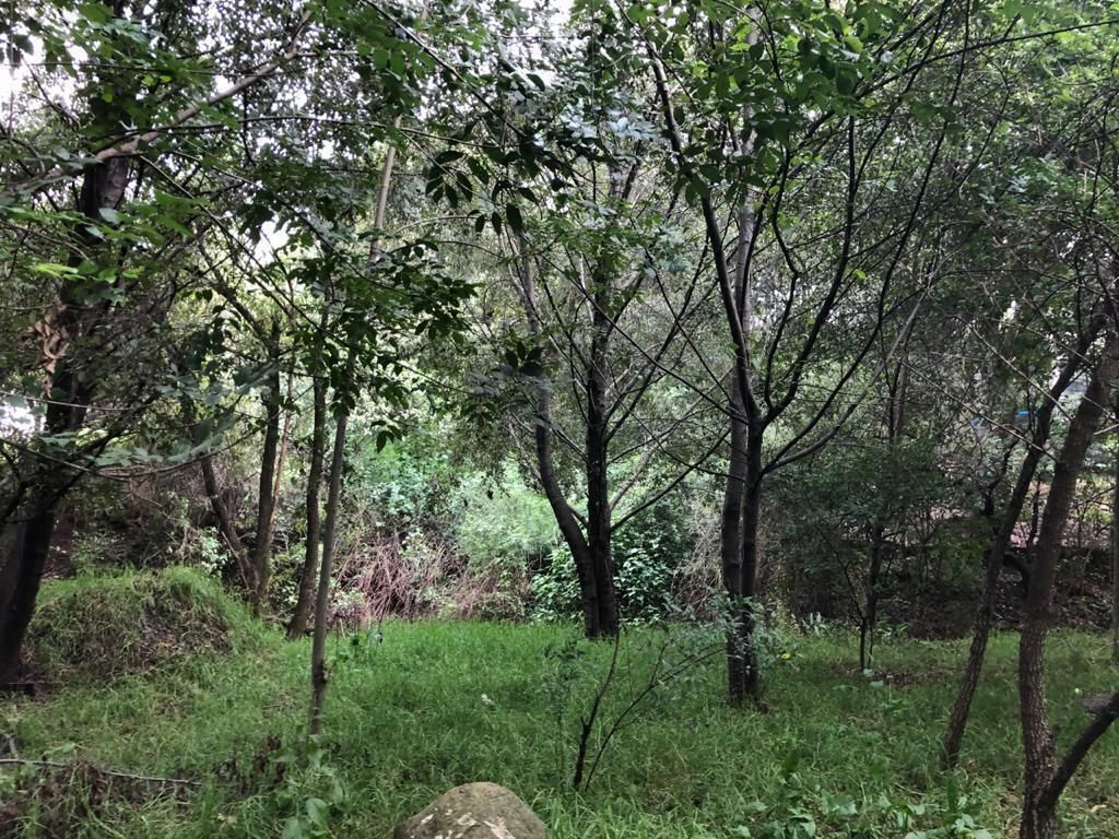 Terreno En Venta En Bosque Real, $10,850,000