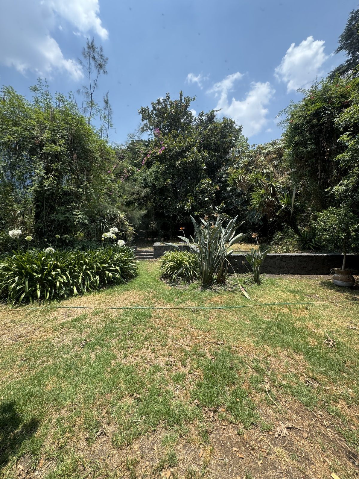 Casa para remodelar en calle arbolada en San Ángel Inn