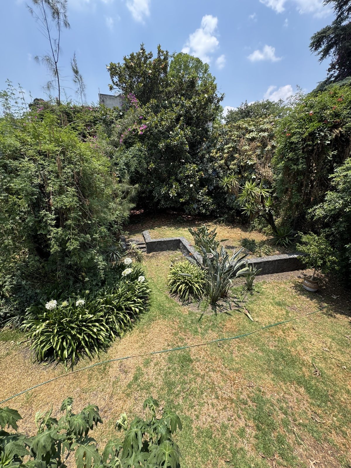 Casa para remodelar en calle arbolada en San Ángel Inn