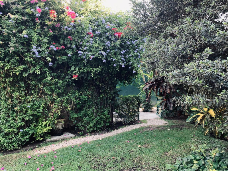 Casa En Venta   Viveros  De  Cocoyoc