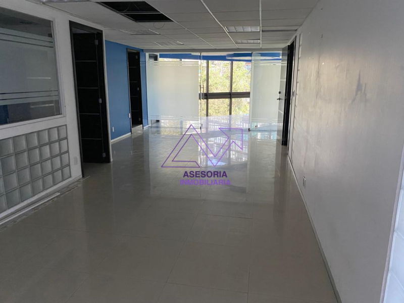 Oficina En Renta En Polanco