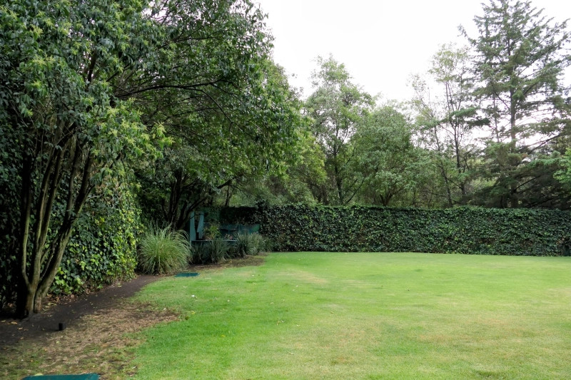 Departamento Clásico Junto Al Bosque En VENTA, Un Refugio De Arte, Luz Y Naturaleza En Las Lomas, Ciudad De México