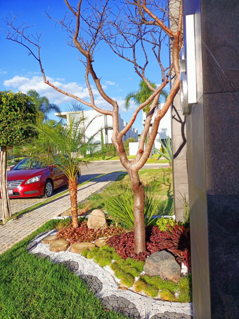 Casa En Venta En Lomas De Angelopolis