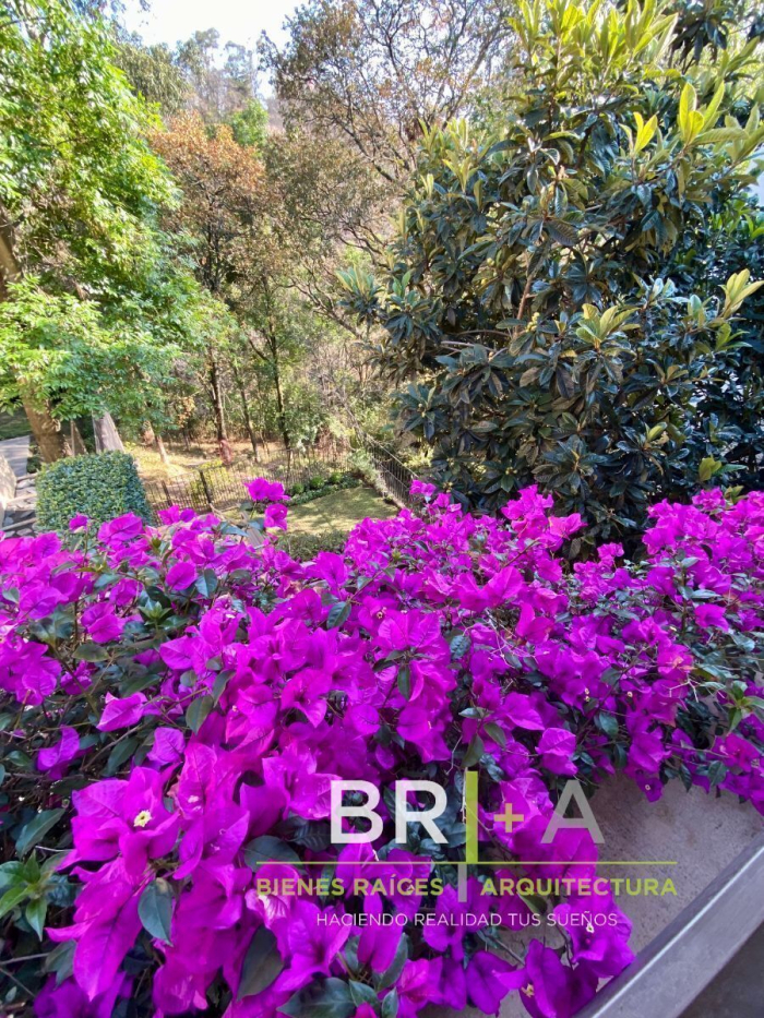 Venta De Preciosa Casa En Condominio Horizontal En Lomas De Vista Hermosa