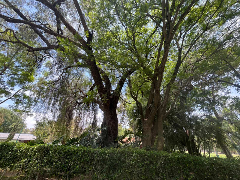 Terreno En Venta En Campo De Golf Santa Anita Condominio