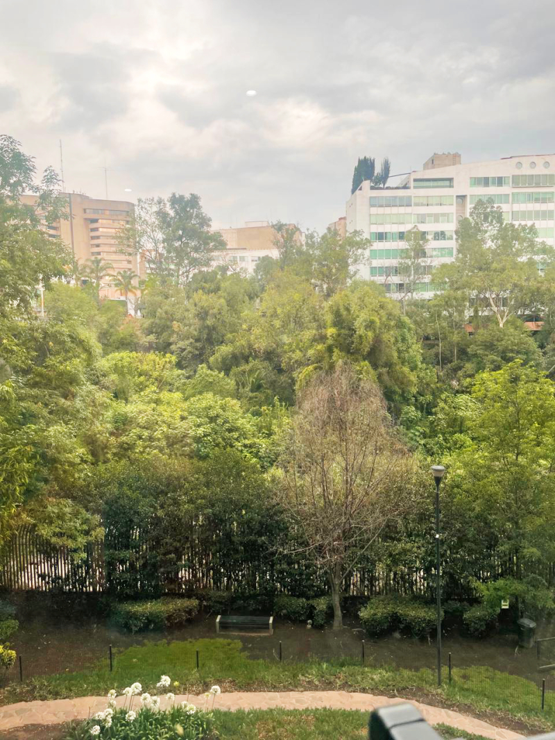 venta de departamento en las lomas