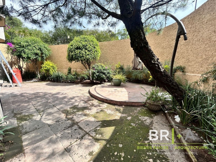 Casa En Renta 4 Recámaras Virreyes Semi Amueblada