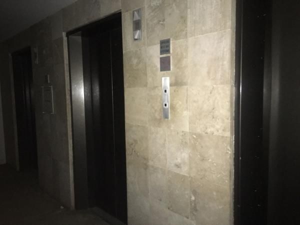 Oficina En Renta Anzures 640 M2 Oportunidad