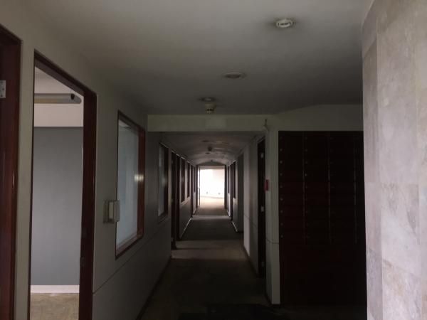 Oficina En Renta Anzures 640 M2 Oportunidad