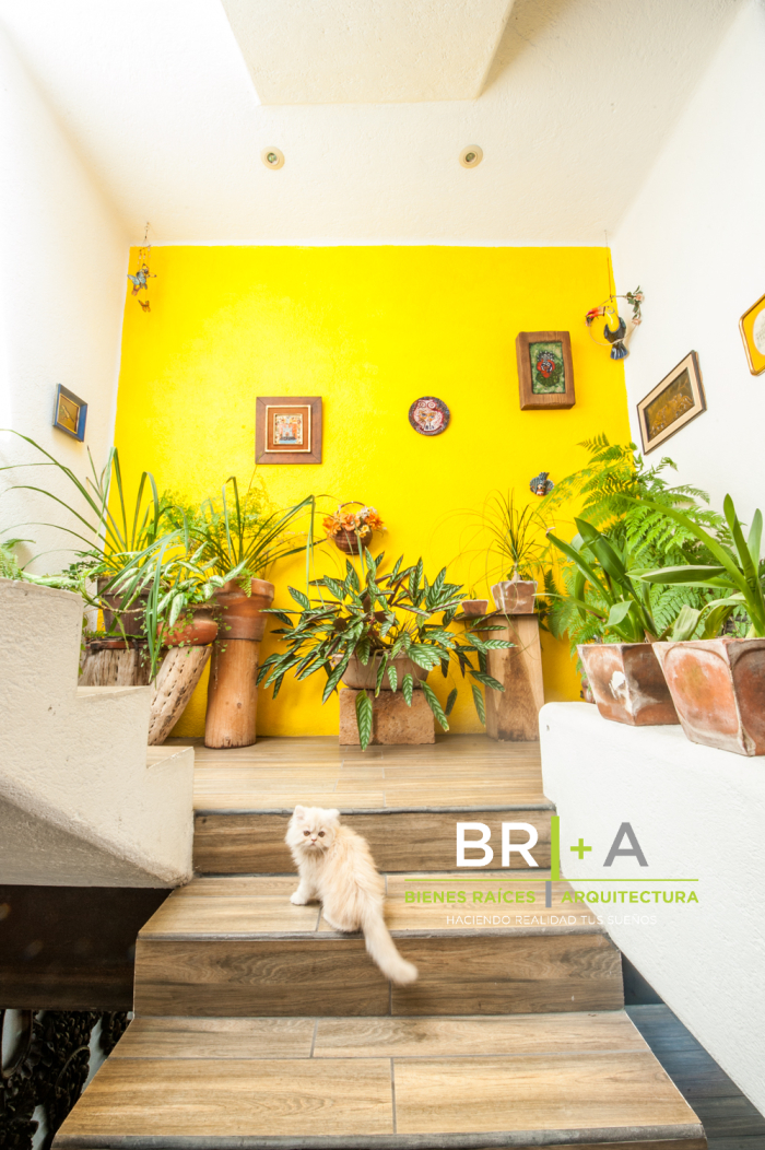 Hermoso Townhouse  En Venta En Valle De Bravo.