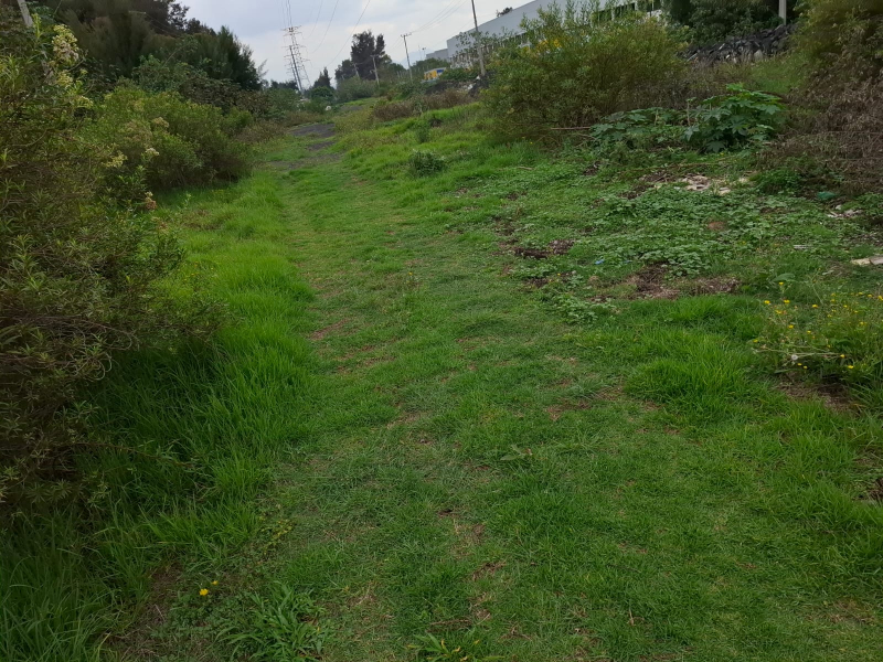 Terreno En Renta En La Noria, Xochimilco