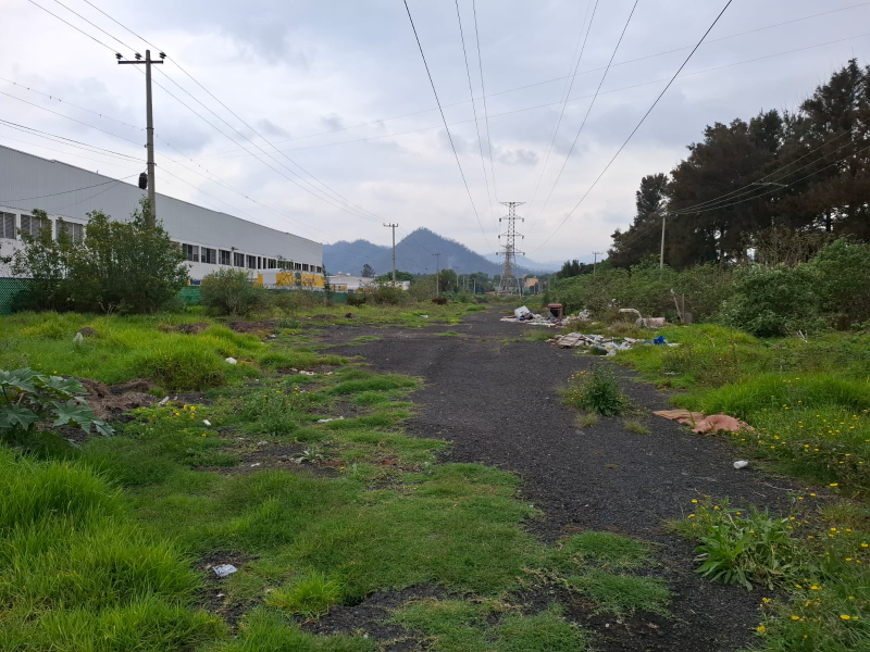 Terreno En Renta En La Noria, Xochimilco
