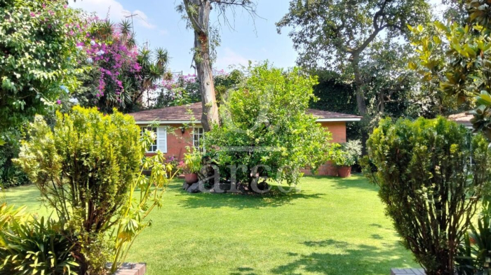 Hermosa Casa en Renta en Lomas Hipódromo