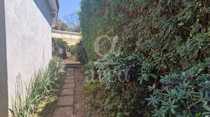 Casa en Renta en Lomas de Chapultepec