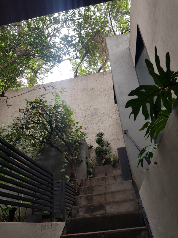 Departamento En Renta En 3 De Mayo