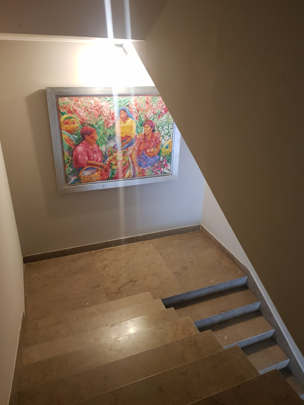 Departamento En Renta En 3 De Mayo