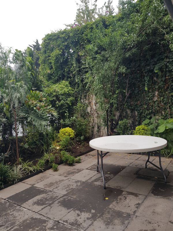 Departamento En Renta En 3 De Mayo