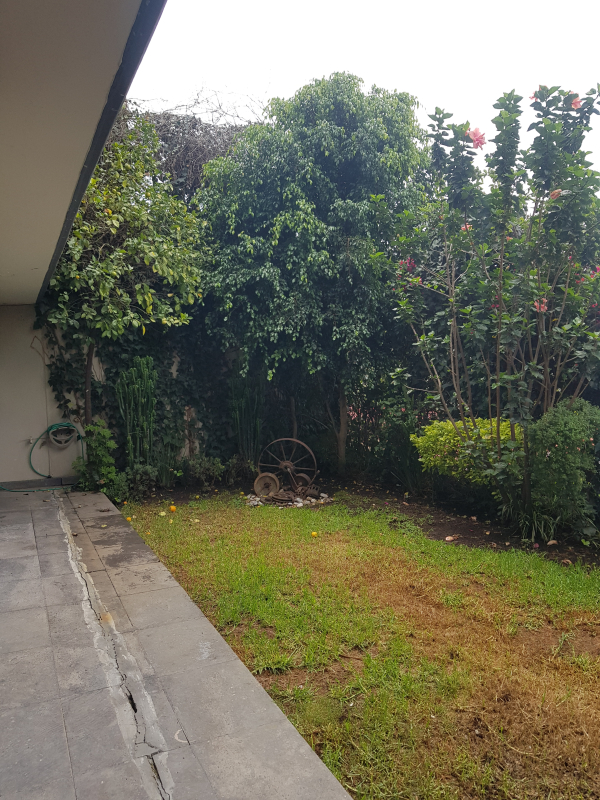 Departamento En Renta En 3 De Mayo