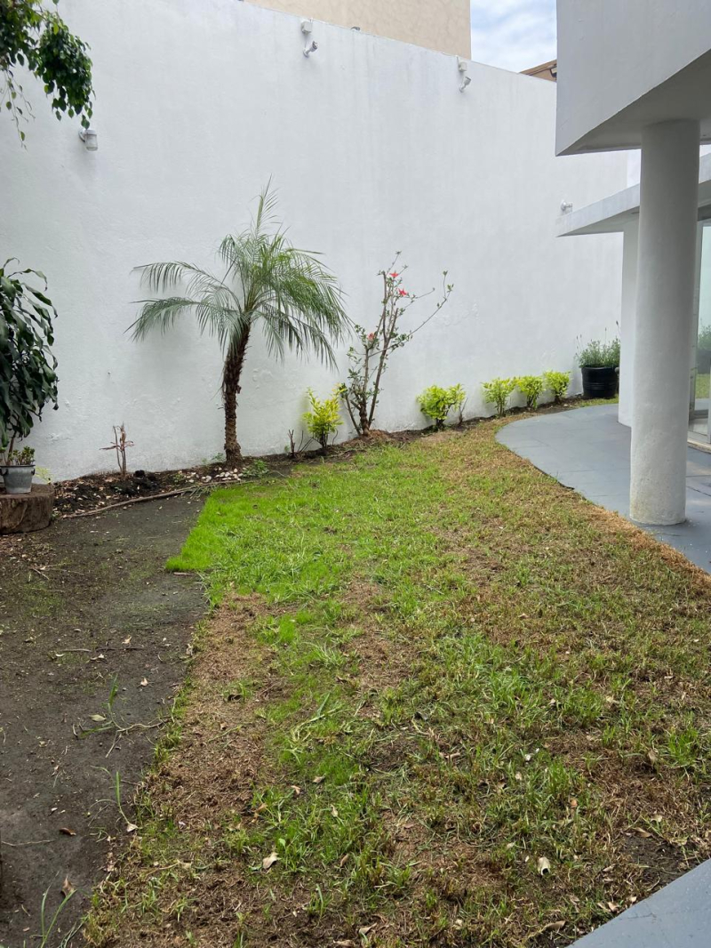 Casa En Renta, Lomas De Chapultepec, Sierra Vertientes