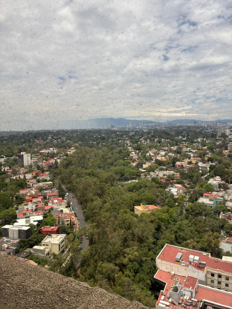 Departamento En Renta, Lomas De Chapultepec, Av. Paseo De Las Palmas