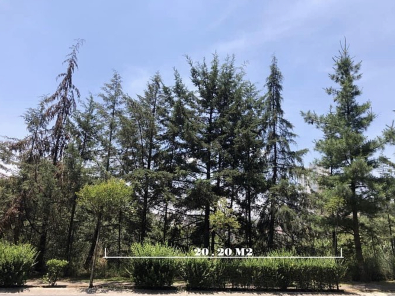 Terreno En Venta En Lomas Country Club
