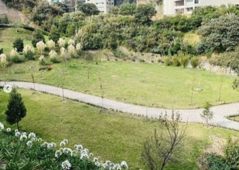 Terreno En Venta En Lomas Country Club