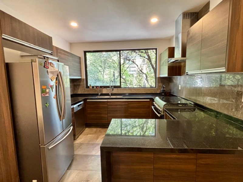 Departamento En Renta, Del Valle Centro