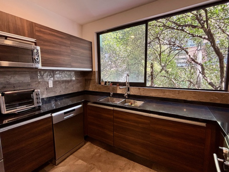 Departamento En Renta, Del Valle Centro