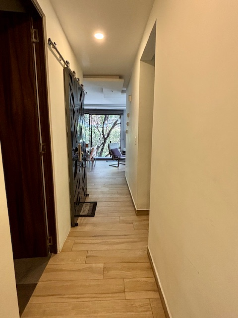 Departamento En Renta, Del Valle Centro