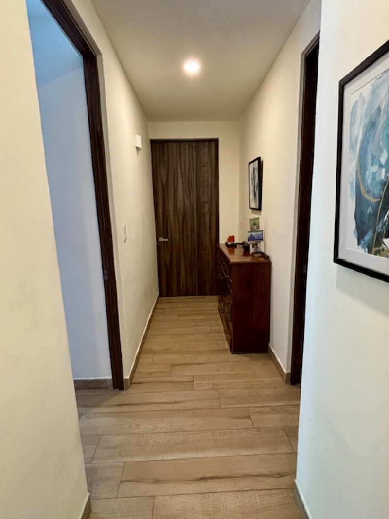 Departamento En Renta, Del Valle Centro