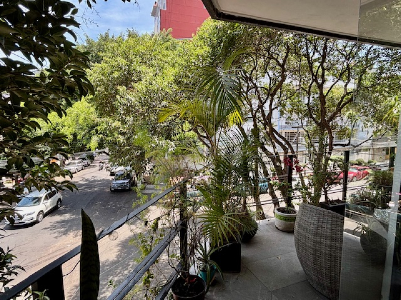 Departamento En Renta, Del Valle Centro