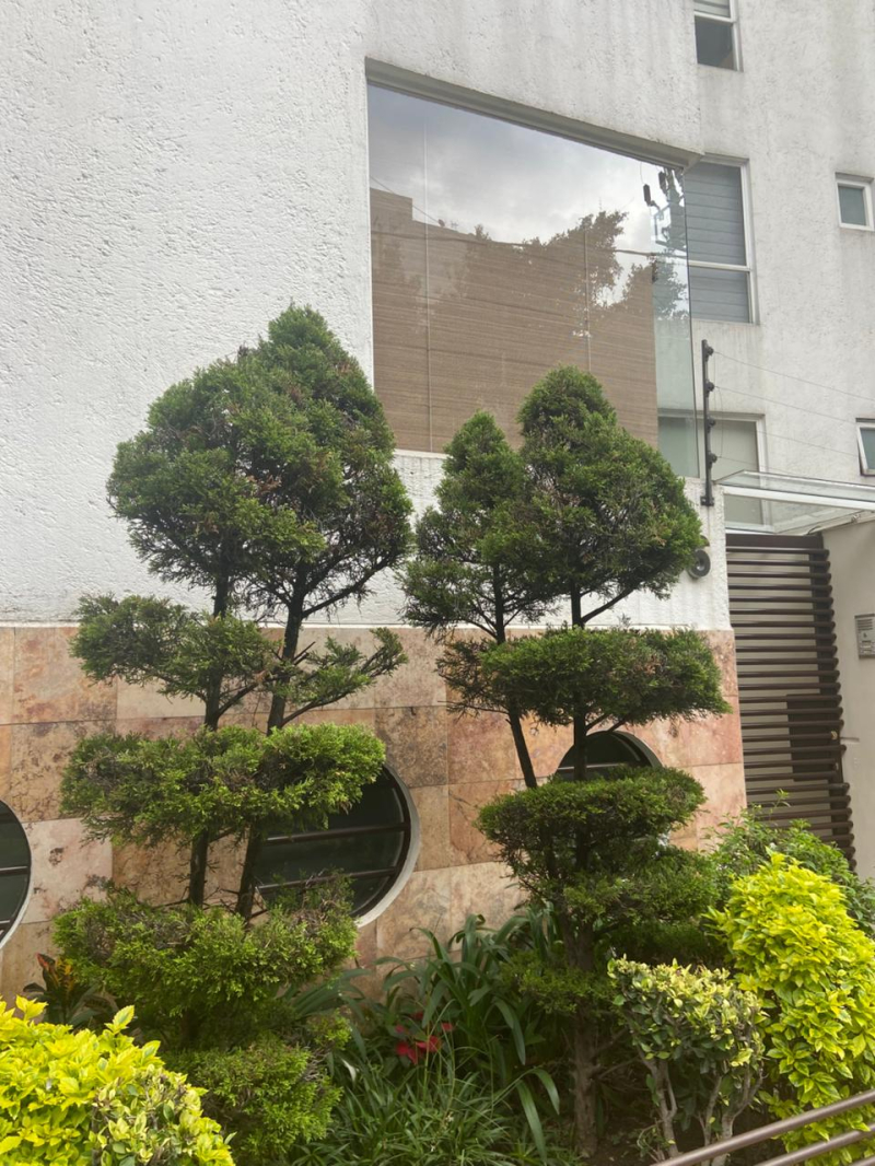 Departamento En Renta En San José Insurgentes