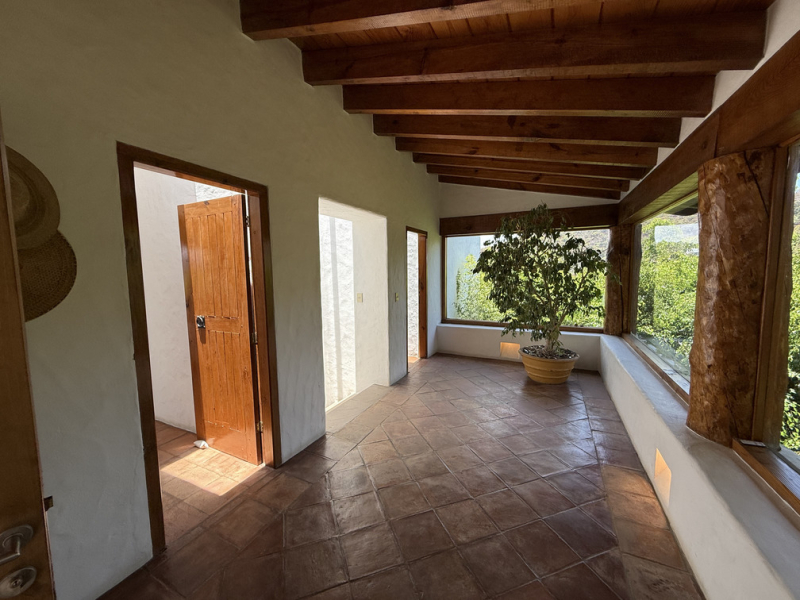 casa búho