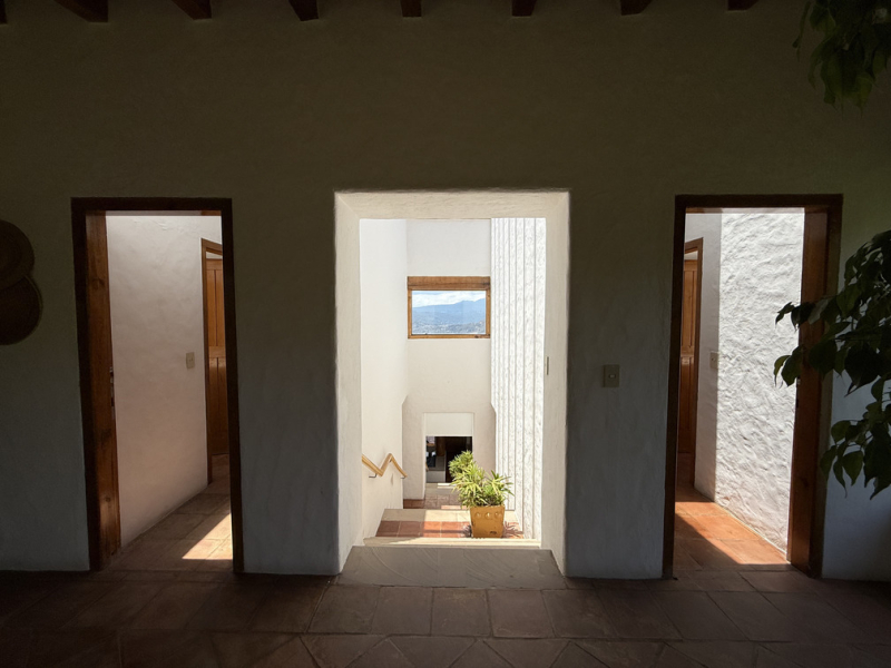 casa búho