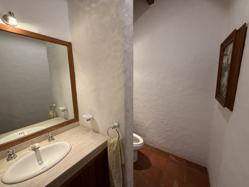 casa búho