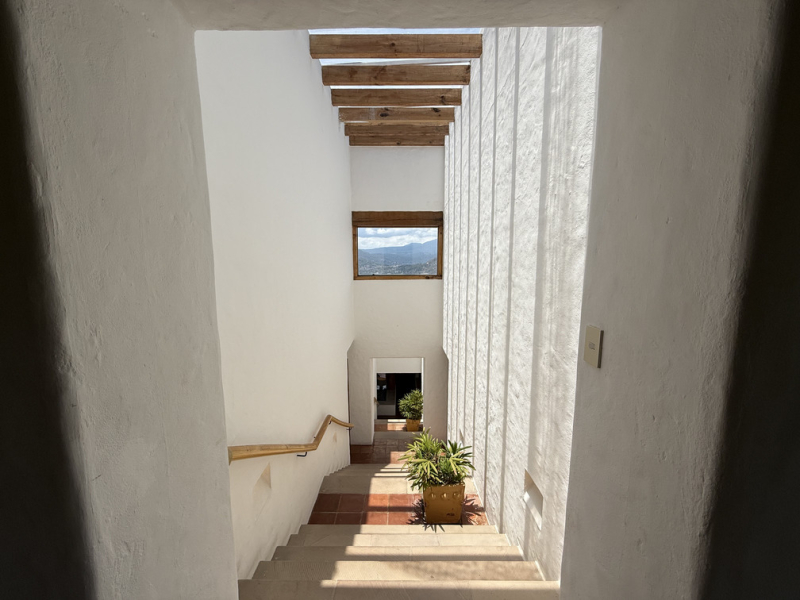 casa búho