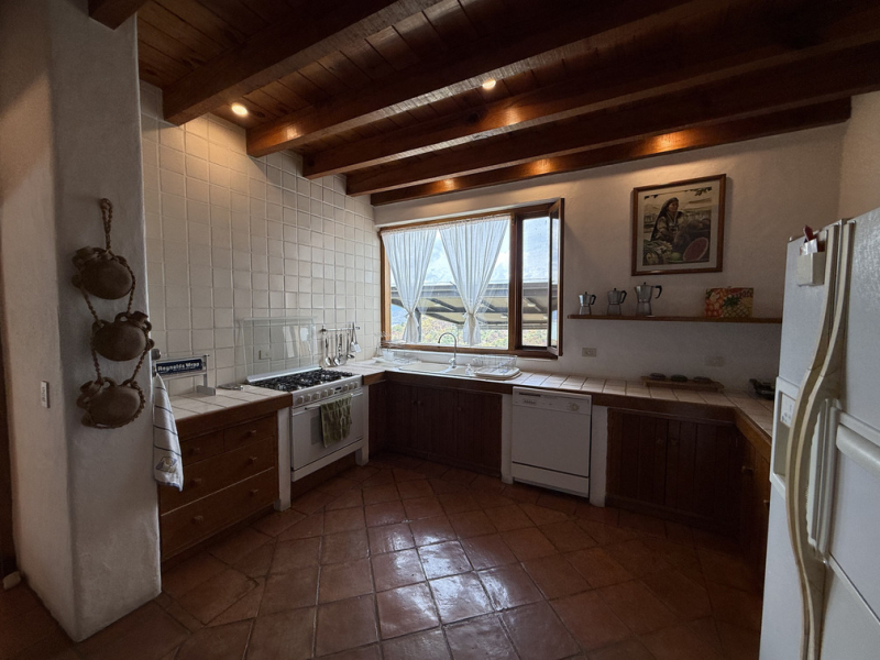 casa búho