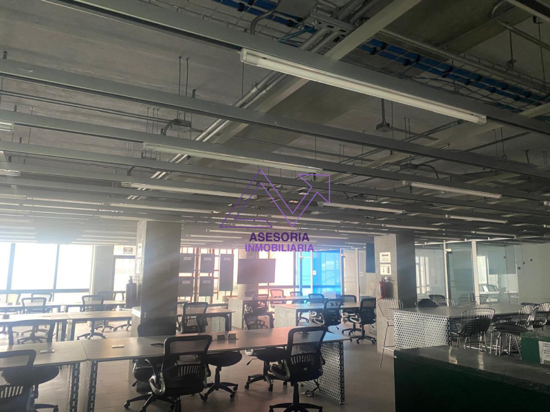 Oficina En Renta En Polanco