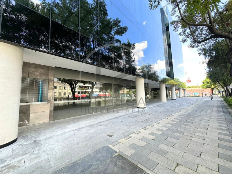 Locales Comerciales en Renta �?? �??Álamo Insurgentes�?�