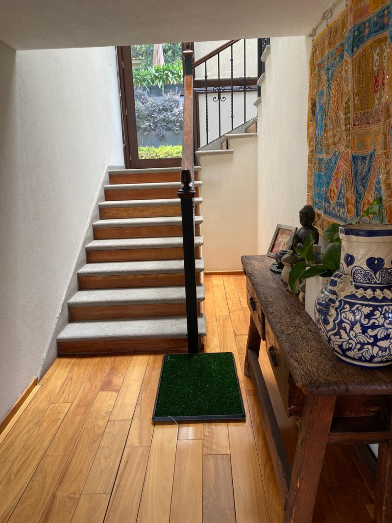 Casa En Venta O Renta En Lomas Hipódromo