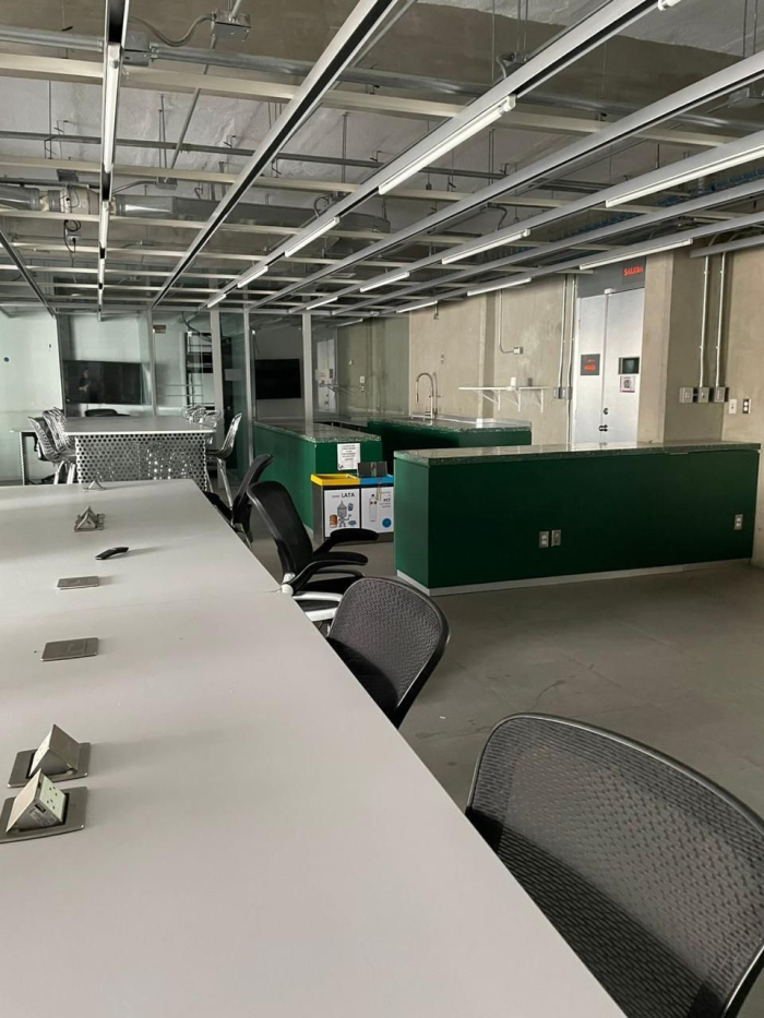 Polanco, Av Ejército Nacional. Oficinas Amuebladas En Renta $145,0000 MN