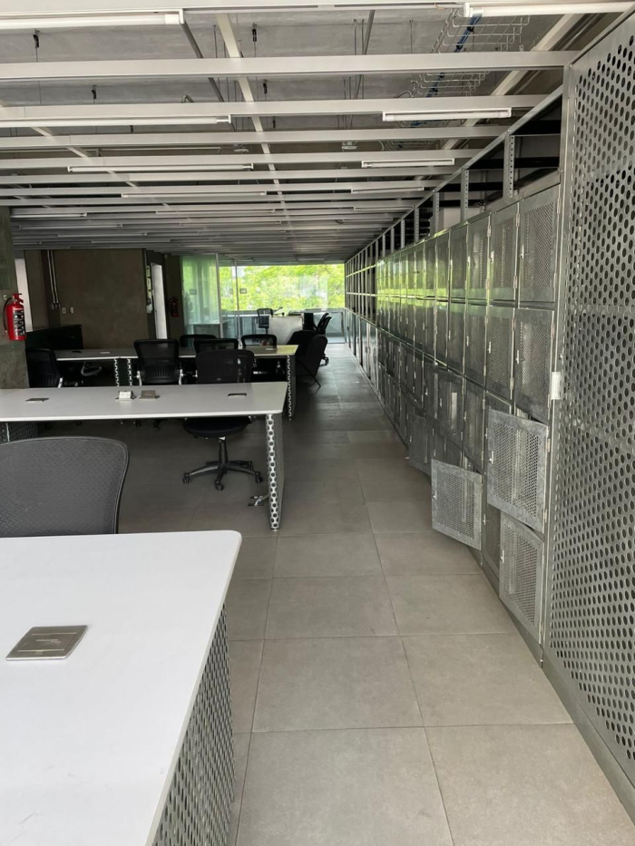 Polanco, Av Ejército Nacional. Oficinas Amuebladas En Renta $145,0000 MN