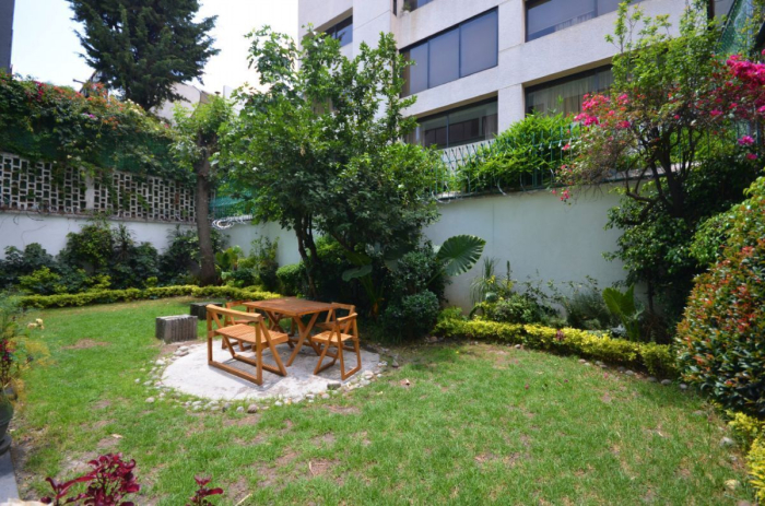 Polanco, Eugenio Sue, Departamento con jardin amueblado renta $95,000MN